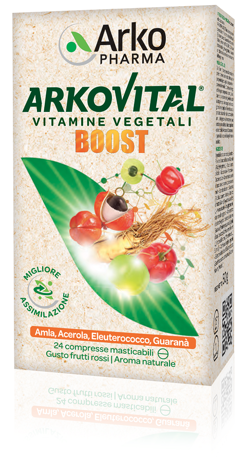 ARKOVITAL BOOST 24CPR