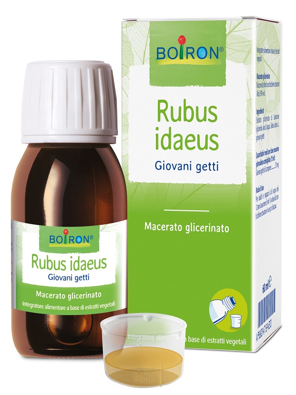 RUBUS IDAEUS BOIRON MG 60ML