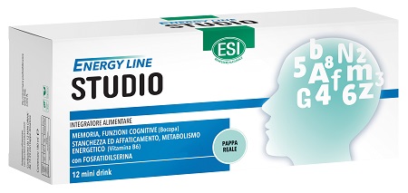 ESI GO UP STUDIO 12MINI