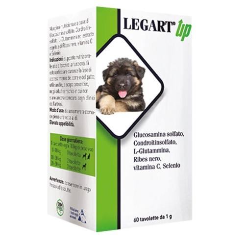 LEGART UP 120CPR