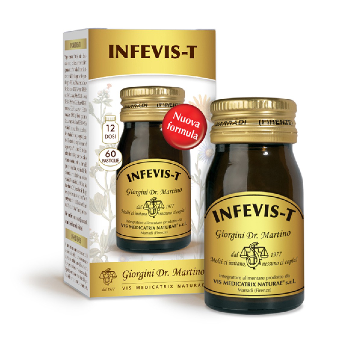 INFEVIS-T 60PAST 30G
