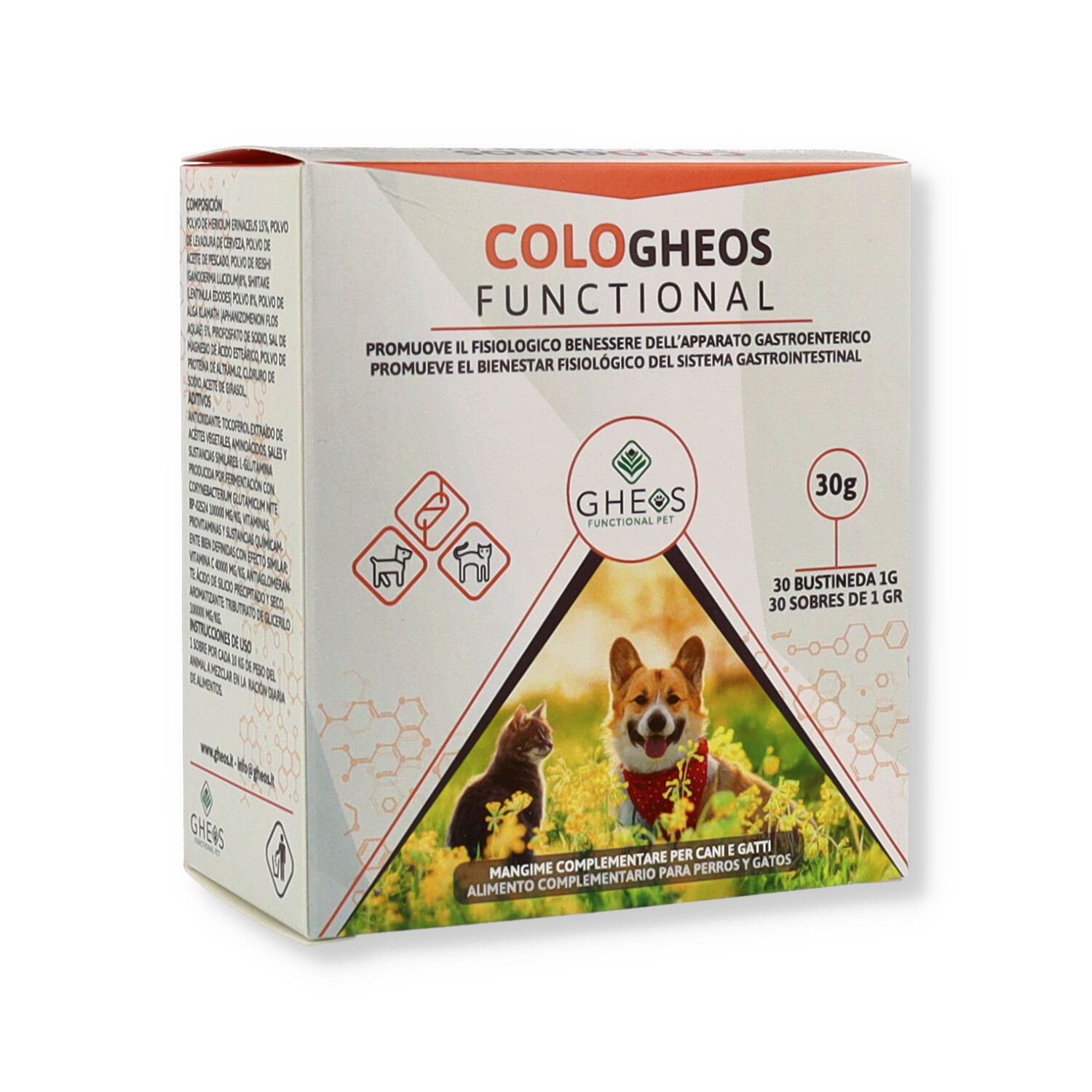 COLO GHEOS FUNCTIONAL 30BUST